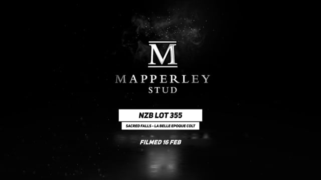 Lot 355
