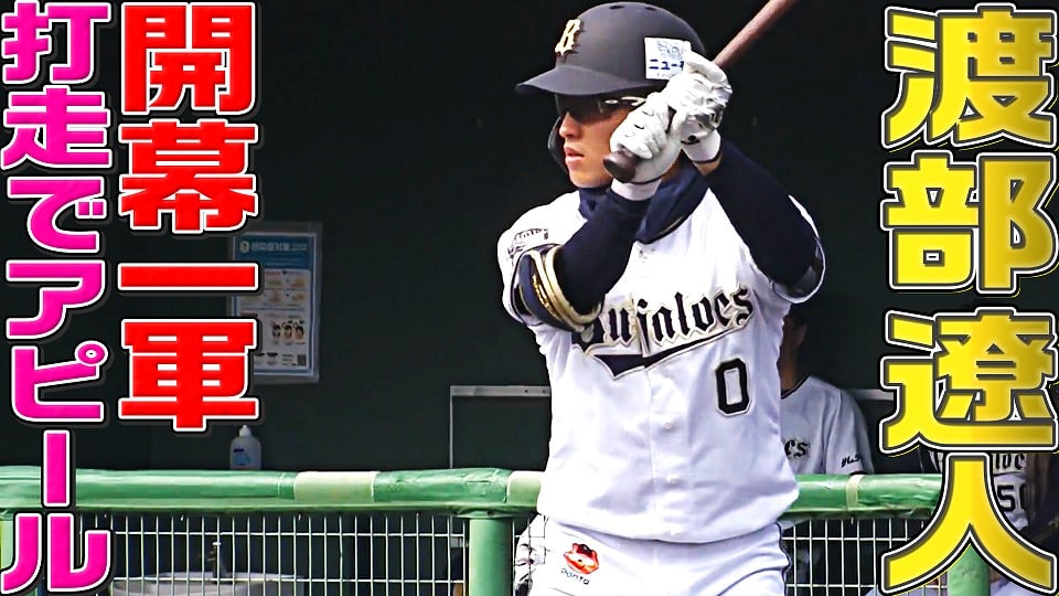 オリックス 渡部遼人 緑泊サイン