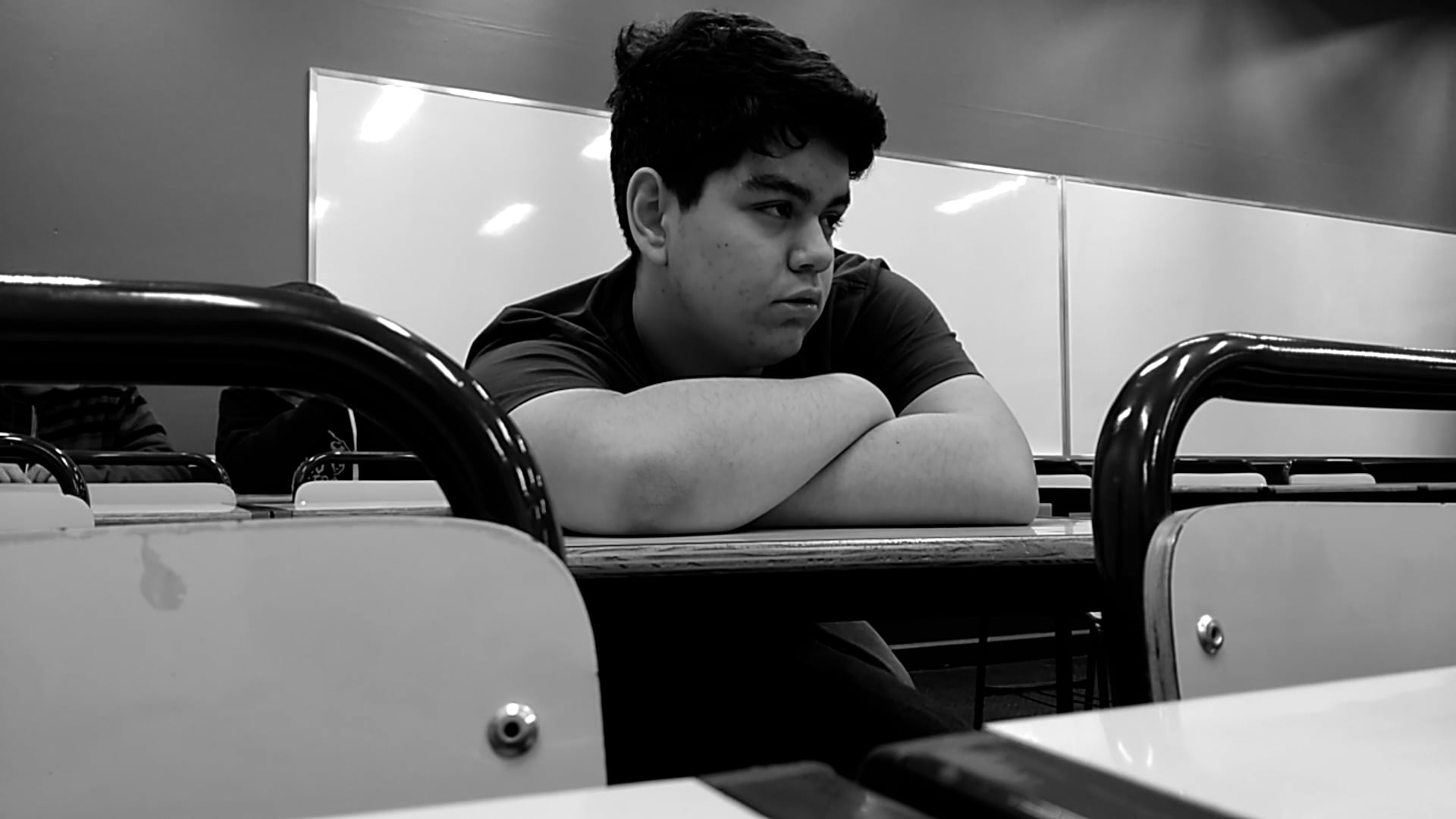 O Observador (2017)