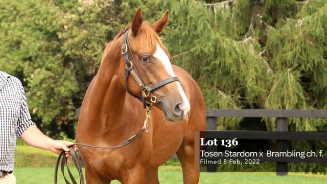 Lot 136