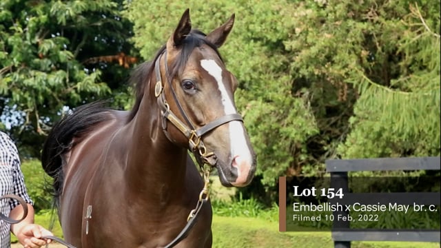 Lot 154