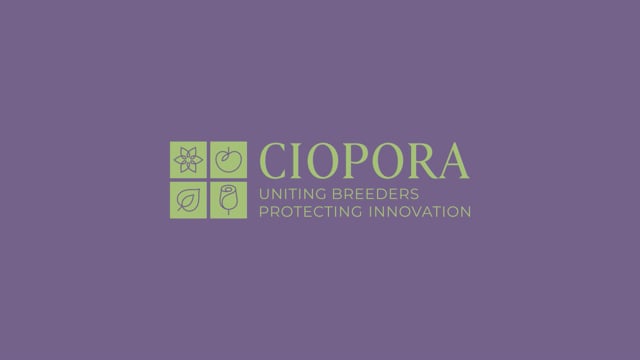 New CIOPORA Member Area: Stay Tuned for Launch on February 24!
