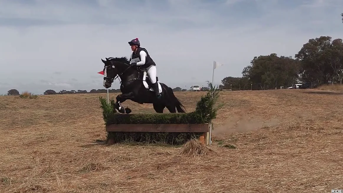 Stephanie Rowe riding BAINBRIDGE BLACK VELVET 194 EvA80 Geelong Horse
