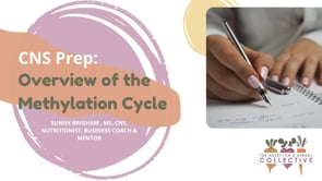 CNS PREP: OVERVIEW OF THE METHYLATION CYCLE