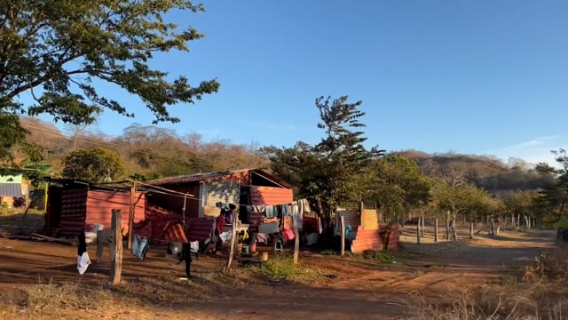 team against animal suffering, Costa Rica, Guanacaste