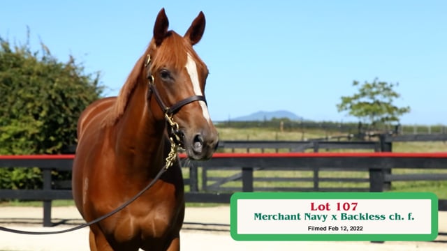 Lot 107