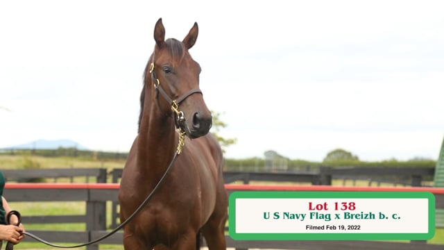 Lot 138