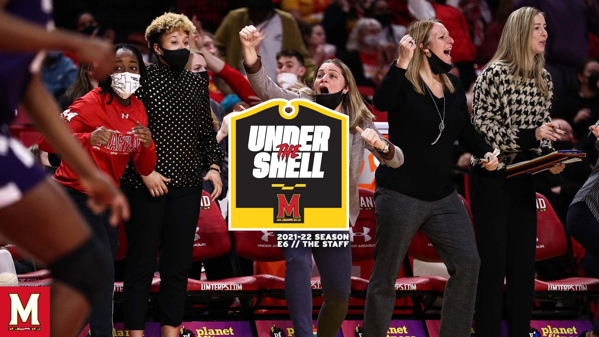 Under The Shell // Episode 6 // The Staff