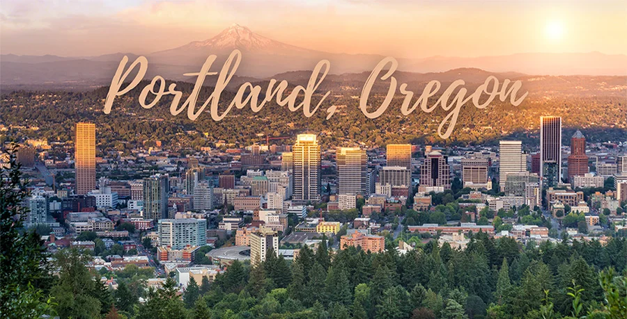 Edge 40 Confezione 2 Lame Oregon 40-843 Per Tagliabordi: Misura 9 X 1/2 X 0.090 Pollici, Forma A Stella Lame Oregon 40-843 9x1/2x0.090 Pollici Stella Per Rifinitore - Foto 13