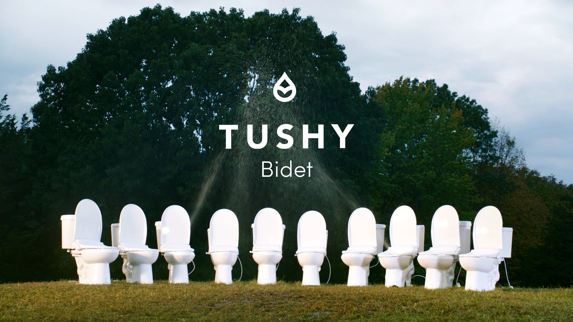 TUSHY Bidet Dance