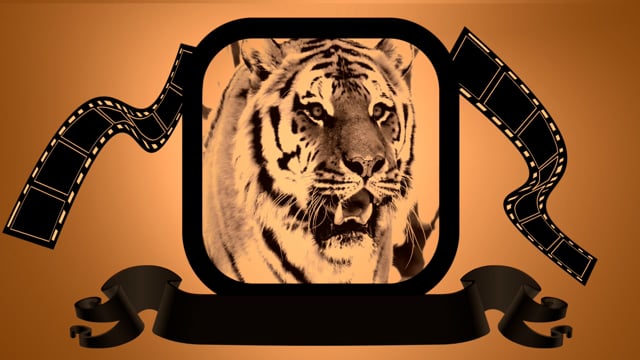 Порно тигр: 3000 качественных видео