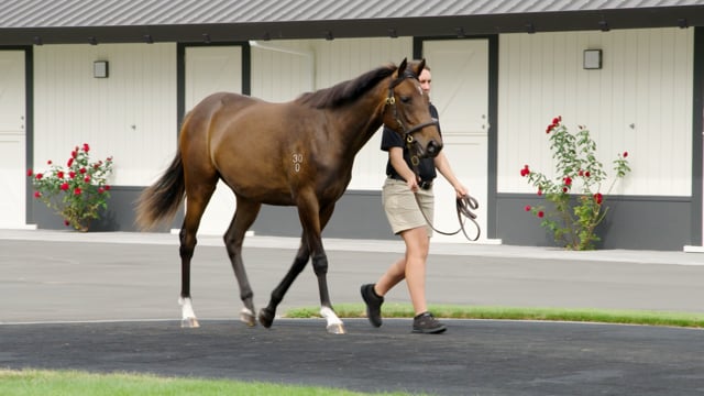 Lot 20