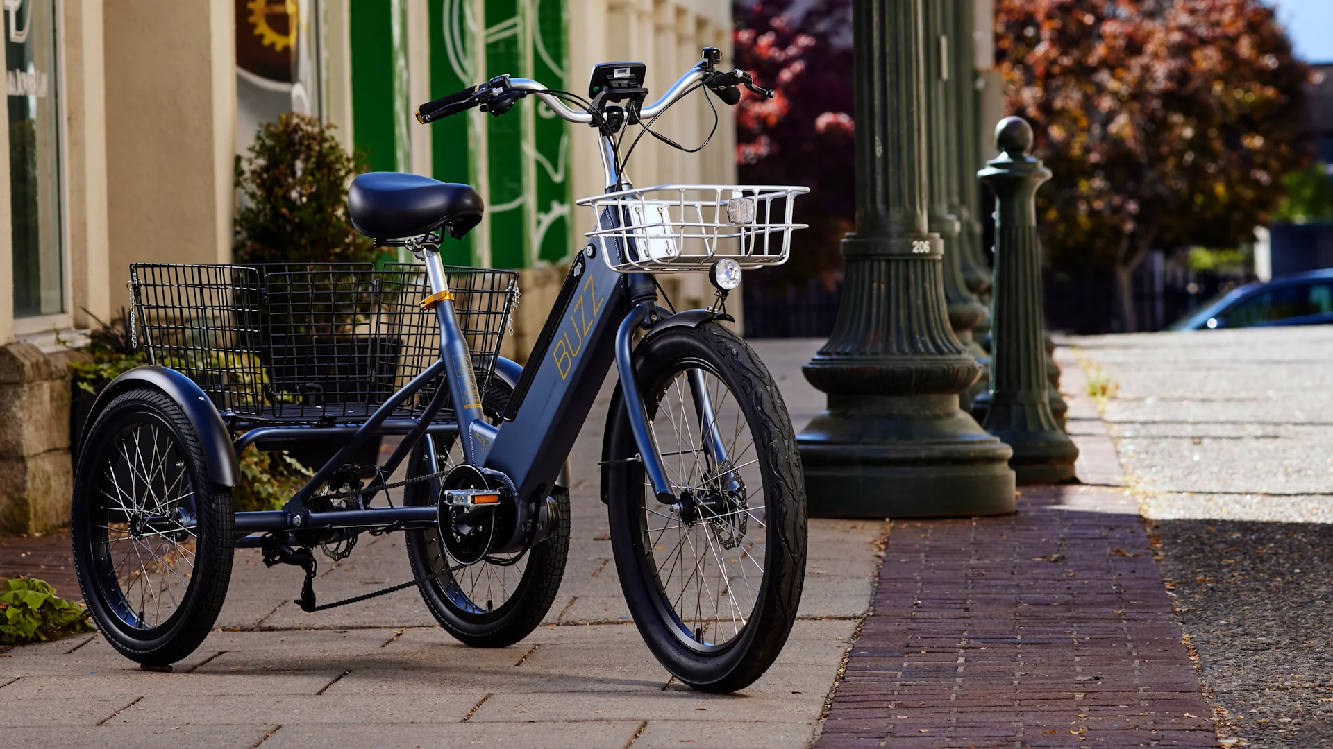 Cerana T Etrike | Buzz