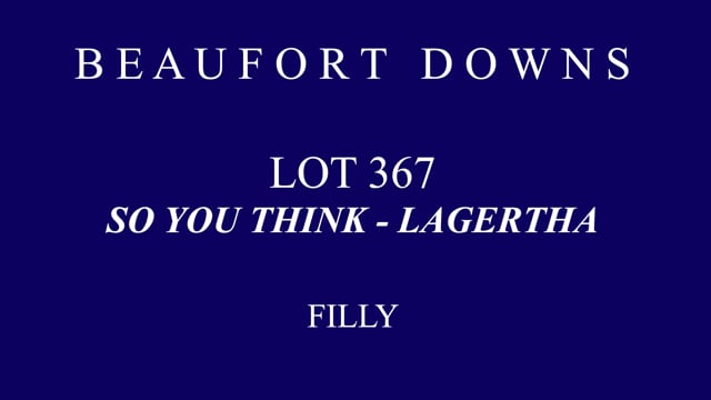 Lot 367