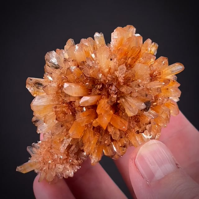 Creedite