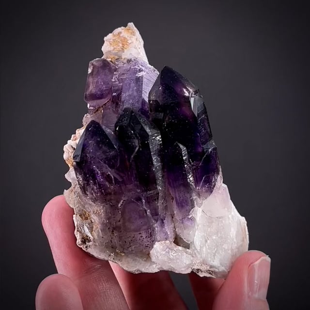 Quartz var. Amethyst ex Carl Acosta