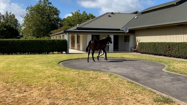 Lot 159