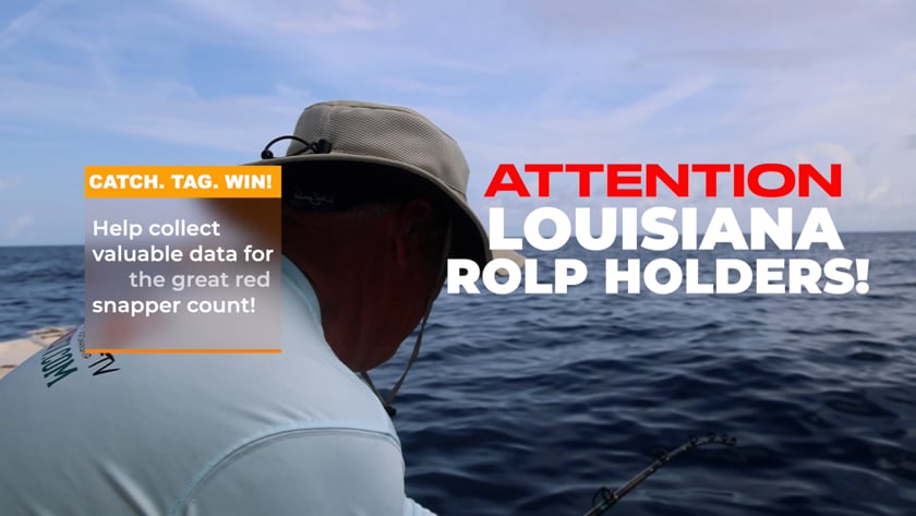 vimeo-video-thumbnail