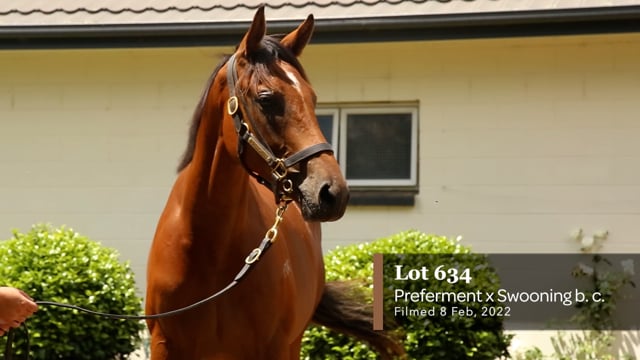 Lot 634