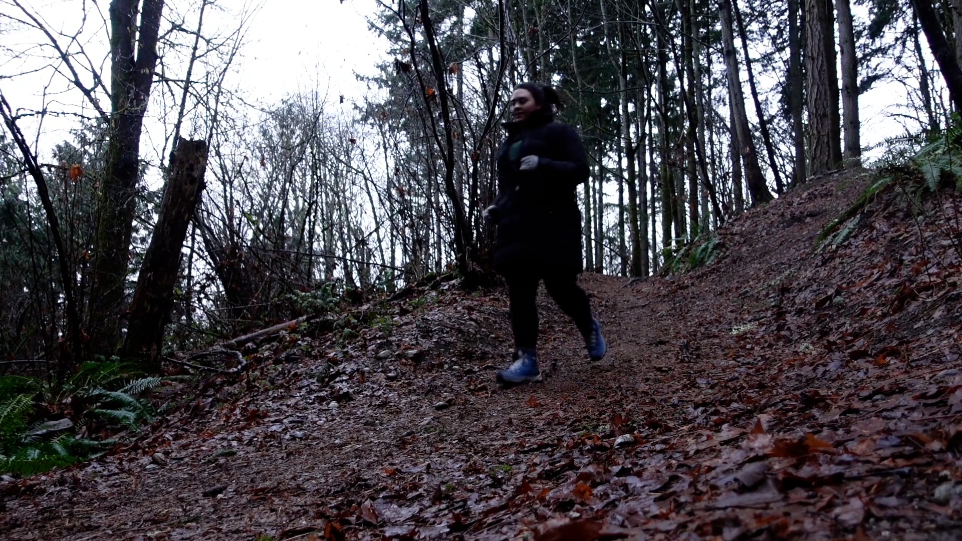 Hiking Adventures