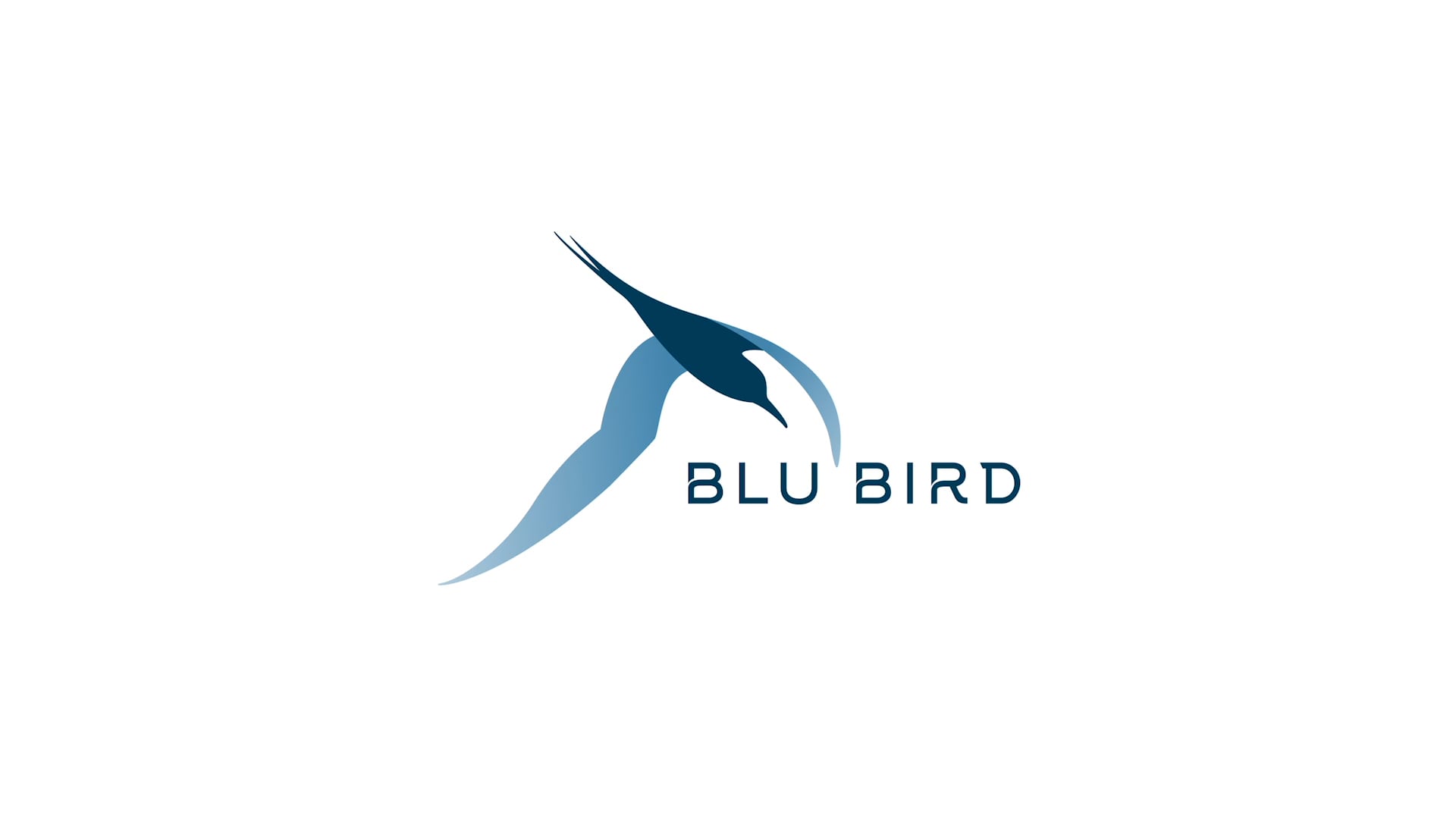 Blu Bird intro