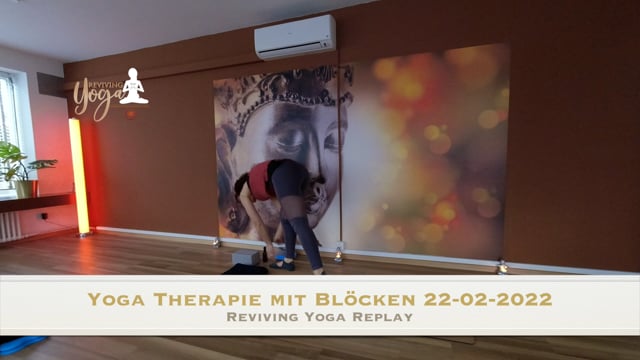 Yoga Therapie mit Blöcken 22-02-2022