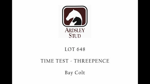 Lot 648