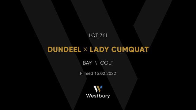 Lot 361