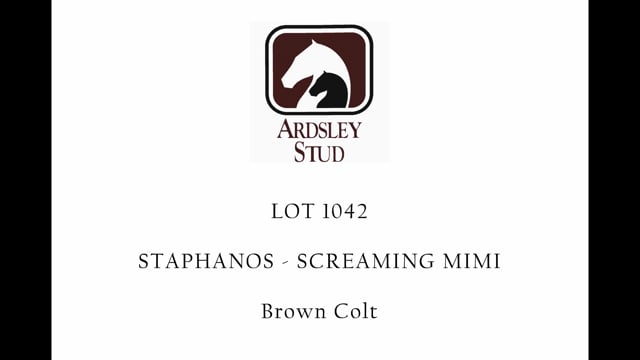 Lot 1042