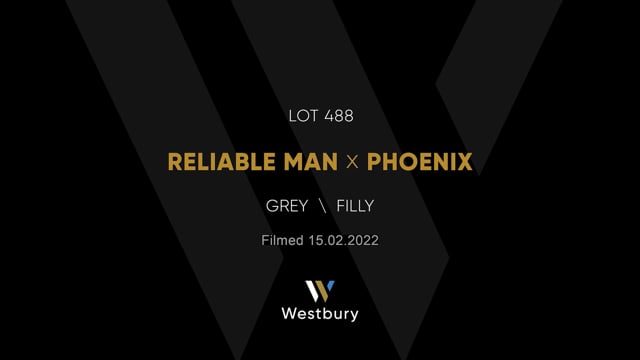 Lot 488