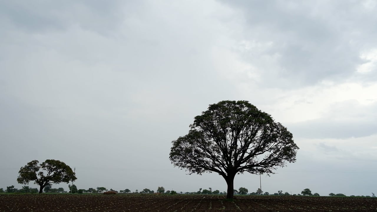 Droughtlands, a video by Omkar Khandagale and Aditya Thakkar