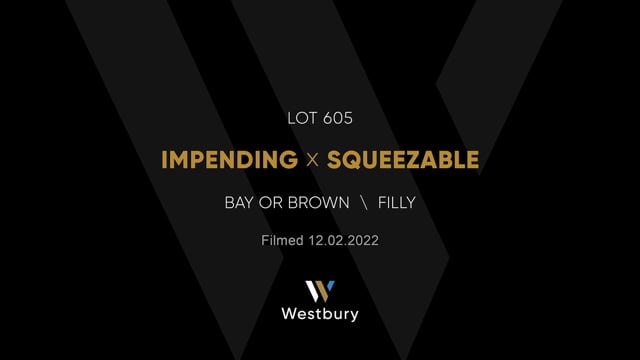 Lot 605
