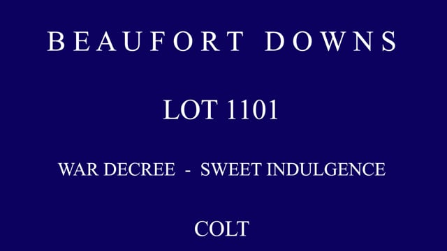 Lot 1101