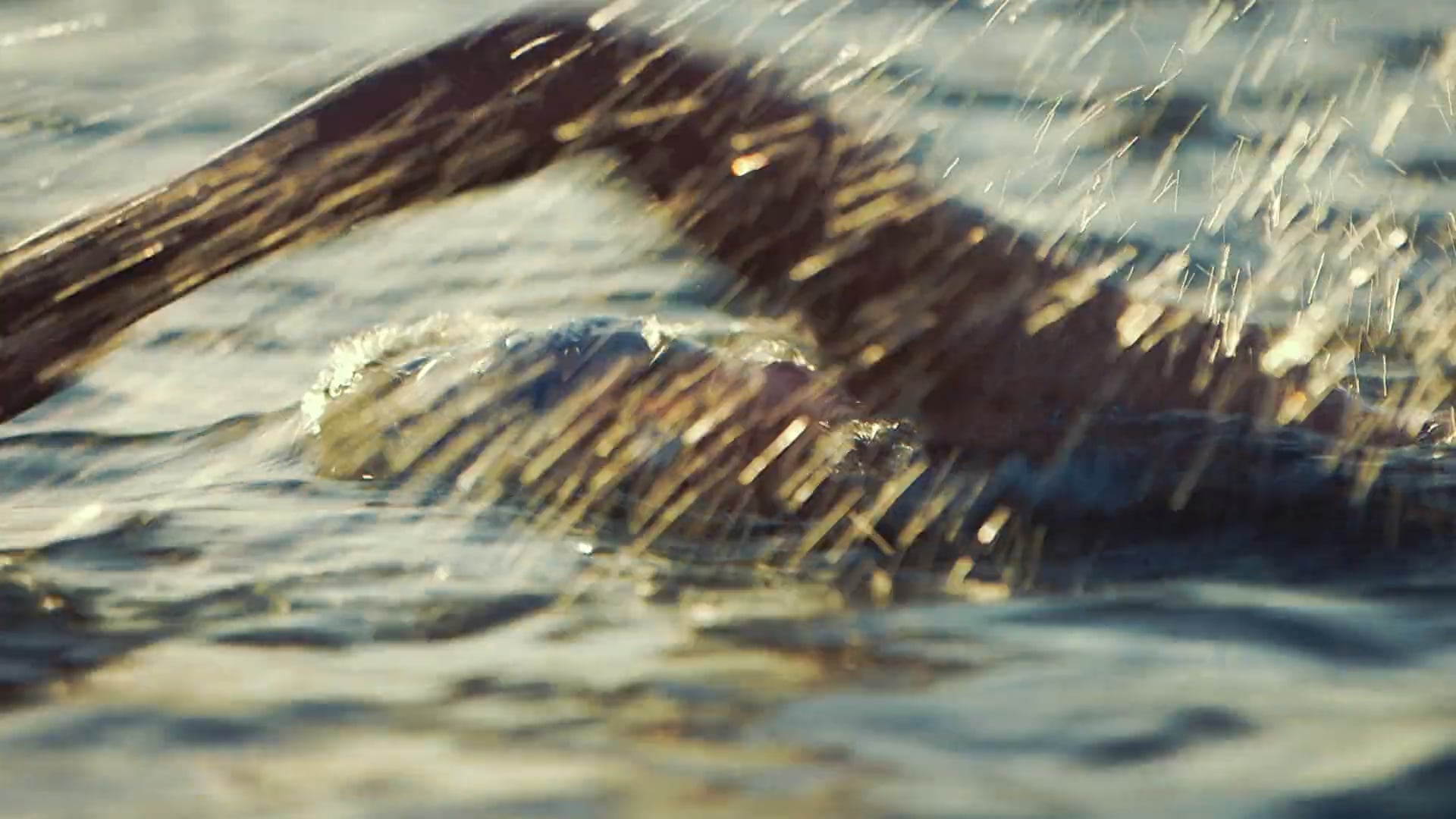 Seeker  "Rituals, The 7 Deadliest Swims"