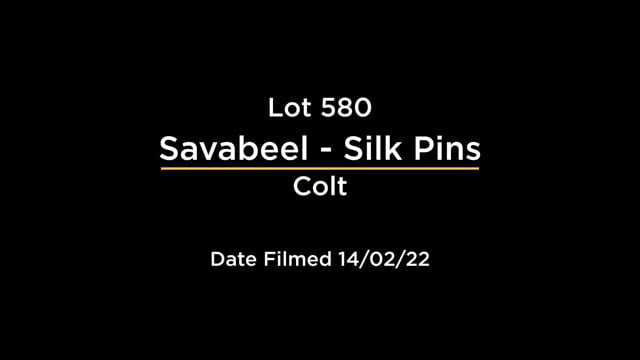 Lot 580