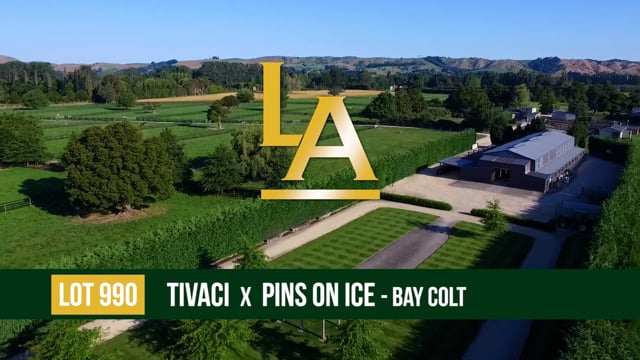 LOT 990 Pins on Ice - Tivaci