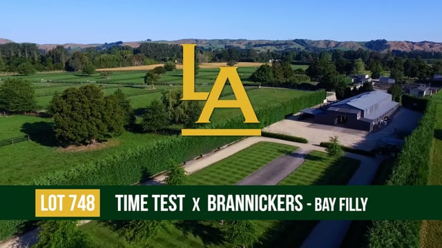 LOT 748 Brannickers - Time Test