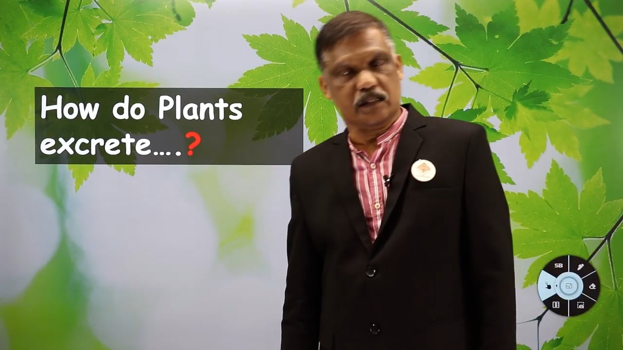 12.How do Plants excrete on Vimeo