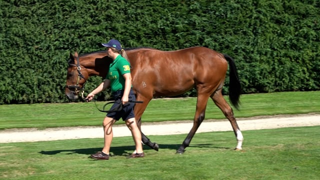 LOT 862 Ima Lady - Time Test