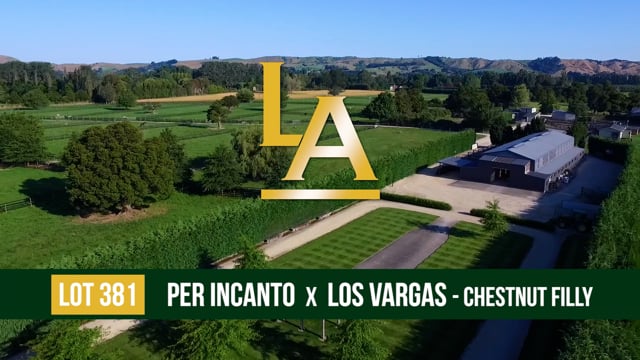 LOT 381 Los Vargas - Per Incanto