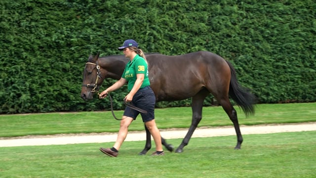 Lot 148