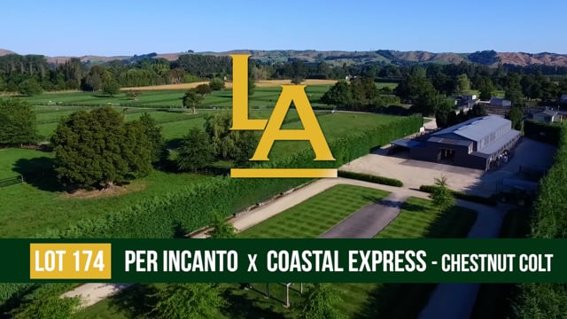 Coastal Express - Per Incanto