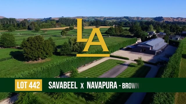 LOT 442 Navapura - Savabeel