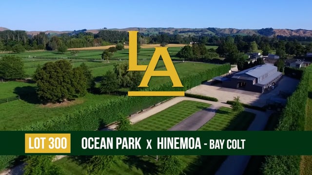 Hinemoa - Ocean Park