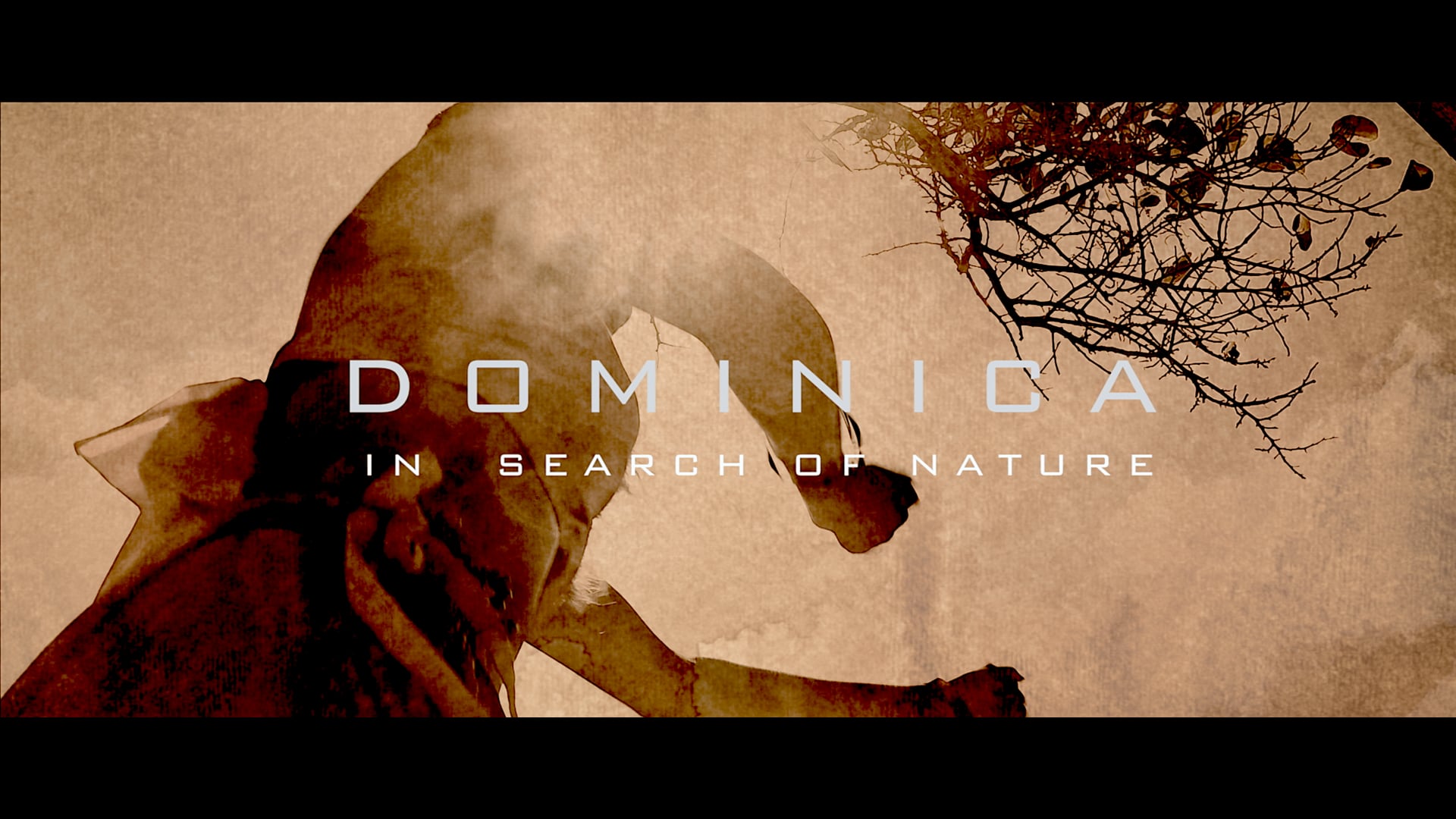 Dominica – In Search of Nature