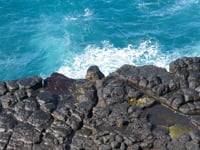 Dokumentation Galapagos