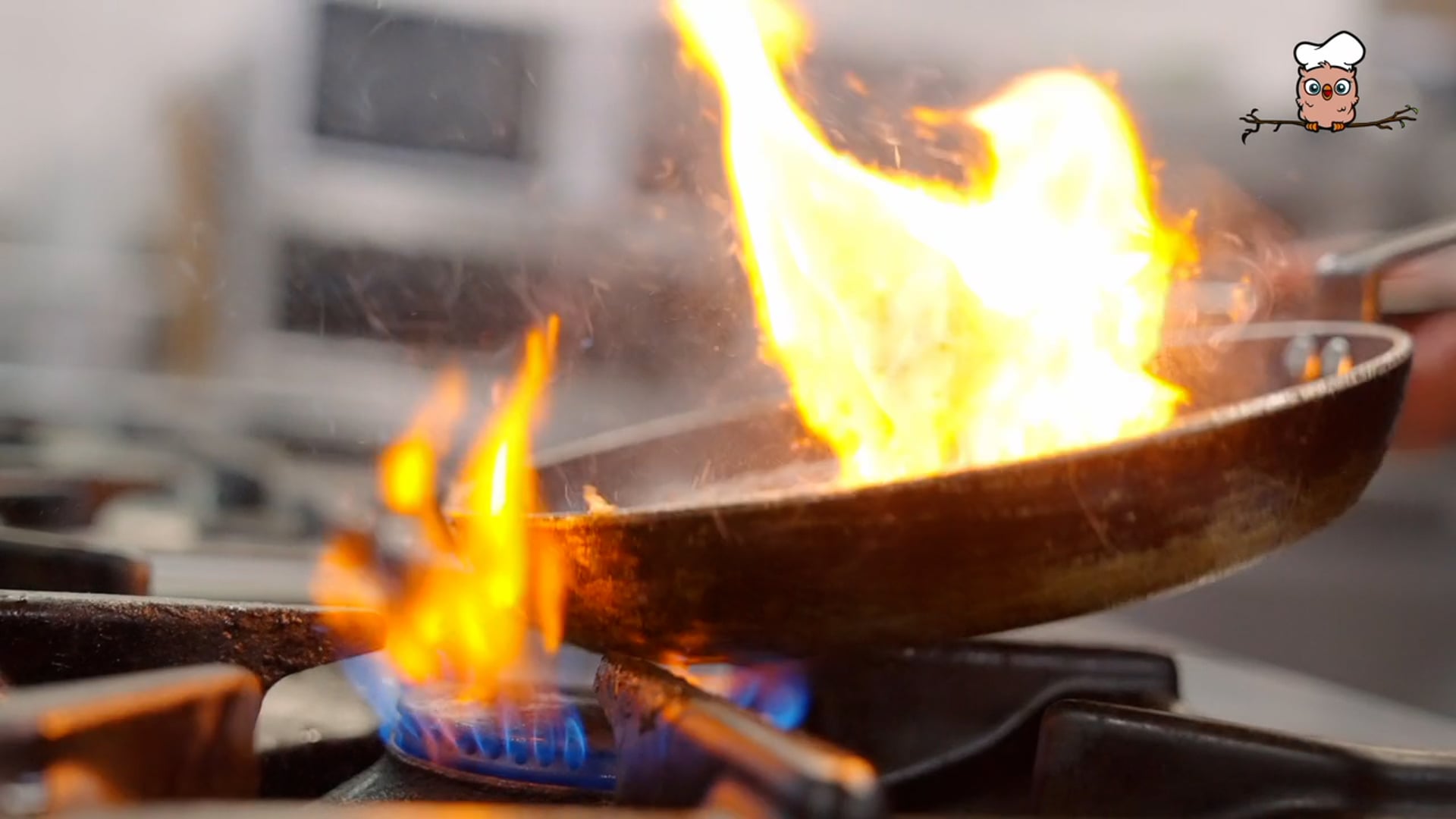 Wervingsvideo Het Uilenbos