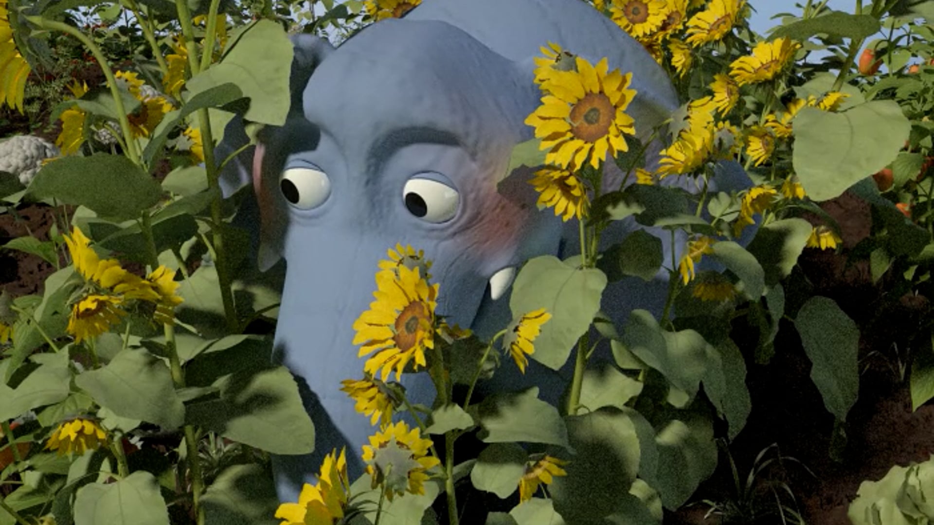 An Elephant in our Garden