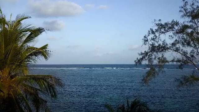 Coral Restoration Episode Out Now!