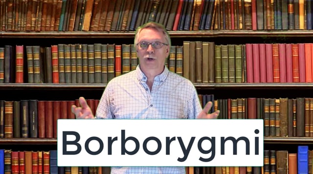 Borborygmi - the Noise that Haunts You